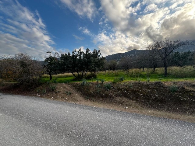 GİRNE/OZANKÖY'de satılık 3382m2 türk koçanlı arazi