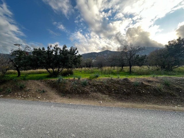 GİRNE/OZANKÖY'de satılık 3382m2 türk koçanlı arazi