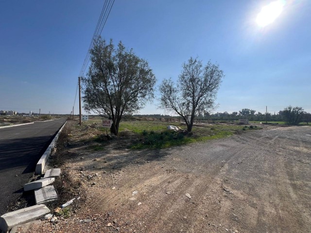  Продается участок площадью 637 м² в районе Лефкоша/Метехан