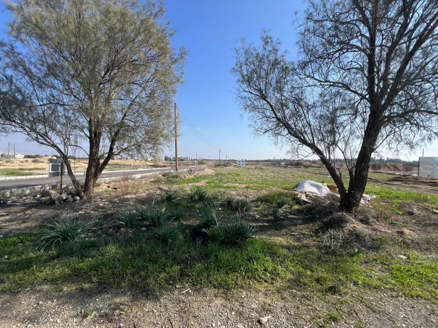  Продается участок площадью 637 м² в районе Лефкоша/Метехан