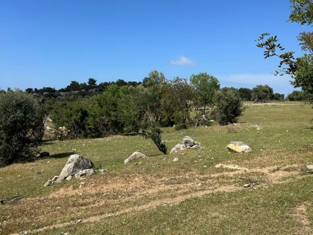 Muhteşem deniz manzaralı arazi 