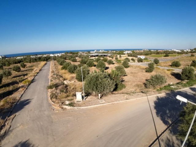 Girne Ozanköy’de satılık arsalar 