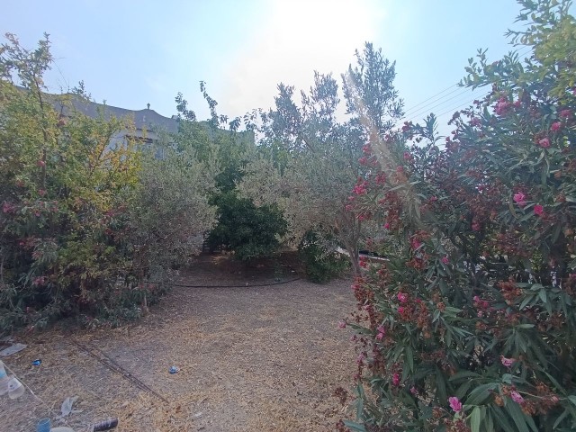 Girne Karaoğlanoğlu 1+1 Kiralık Daire