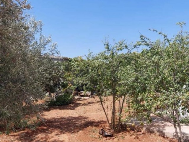 YENİ BOGAZİCİNDE 4+1 SATILIK MÜSTAKİL VİLLA