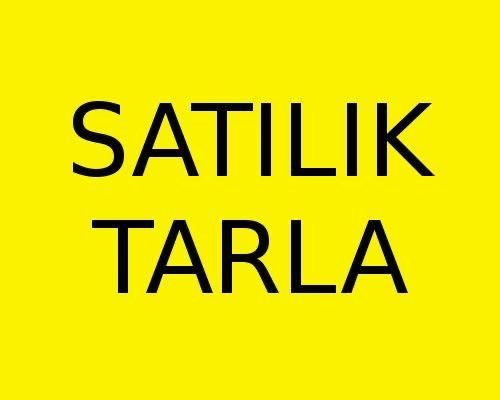 SATILIK TARLA - VADİLİ