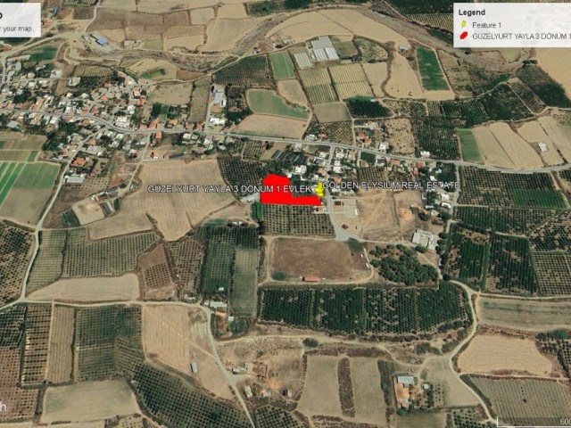Dönüm Fiyatı : 50,000 GBP Güzelyurt Yayla da İmarlı Şehiriçin de Satılık 3 Dönüm 1 Evlek Arazi Adem Akın 05337314949 - Fotoğraf 3