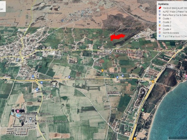 İskele Bahcalar da 29.5 Dönüm Satılık Arazi Adem Akın 05338314949 - Fotoğraf 2
