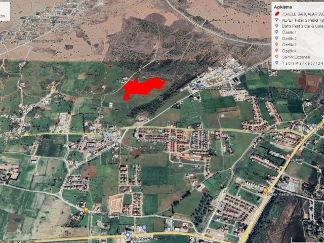 İskele Bahcalar da 29.5 Dönüm Satılık Arazi Adem Akın 05338314949 - Fotoğraf 4