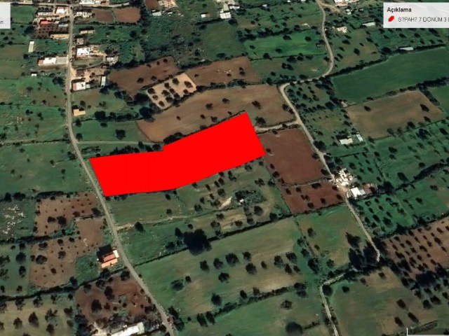Sipahi de Deniz Manzara Lı 9366 M2 Satılık Arazi Adem Akın 05338314949 - Fotoğraf 3