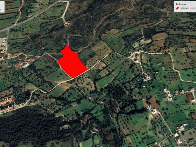 Sipahi de Dağ ve Deniz Manzaralı Harşka Konumd Asatılık 14383 M2 Arazi Adem Akın 05338314949 - Fotoğraf 2