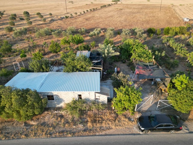 Yedikonuk da Net Deniz Manzaralı Kelepir Fiyata Satılık 3 Dönüm 3 Evlek Fasıl 96 Yatırımlık Arazi (dönüm Fiyatı 70.000 GBP) Ademakın 05338314949 - Fotoğraf 4